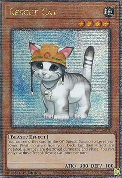 Gatto da Soccorso - Collezione Rarità 25° Anniversario II (Quarter Century Secret Rare) [RA02-001]