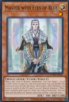 Maestro con gli Occhi di Blu - Structure Deck: Destino Bianco Occhi Blu (Common) [SDWD-014]