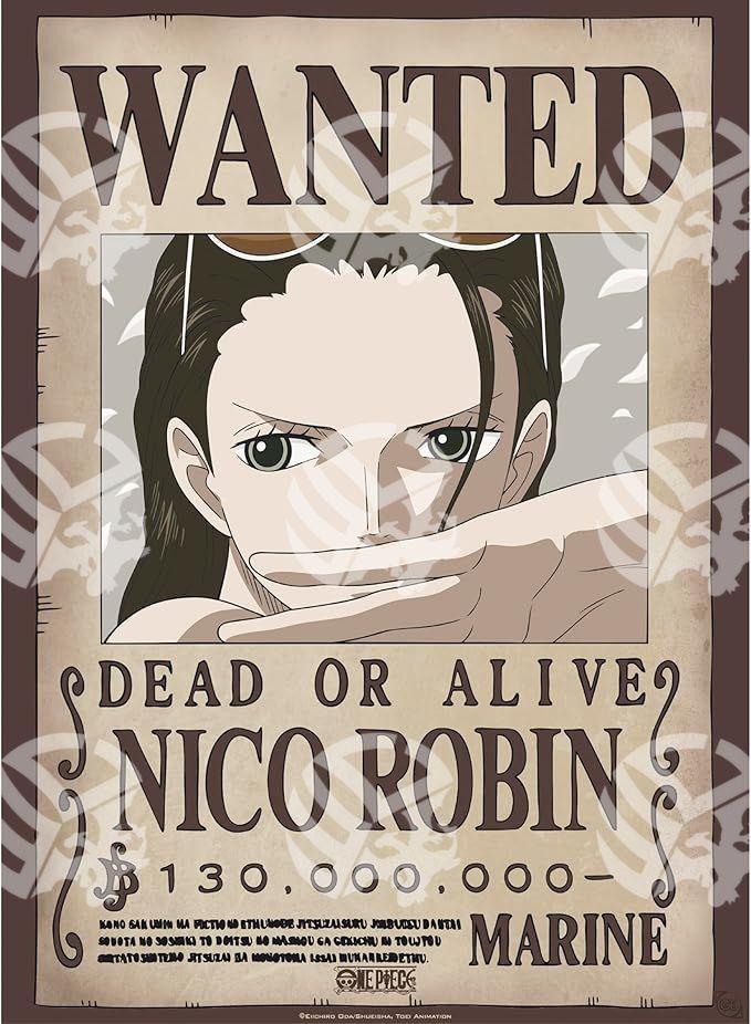Poster One Piece Nami e Nico Robin - Warcard