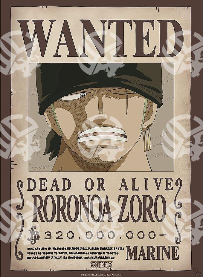 Poster One Piece Zoro e Sanji - Warcard