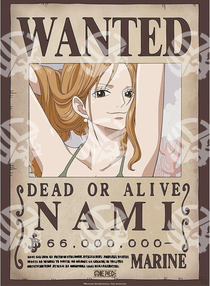 Poster One Piece Nami e Nico Robin - Warcard