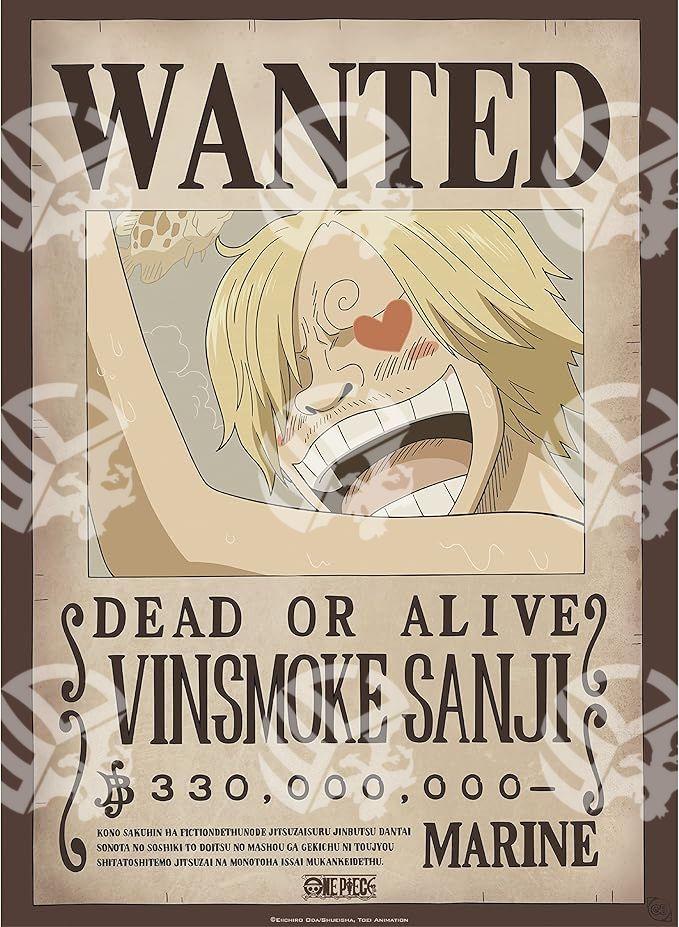 Poster One Piece Zoro e Sanji - Warcard