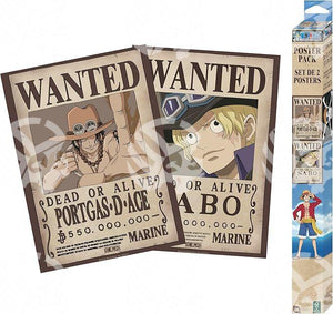 Poster One Piece Zoro e Sanji - Warcard
