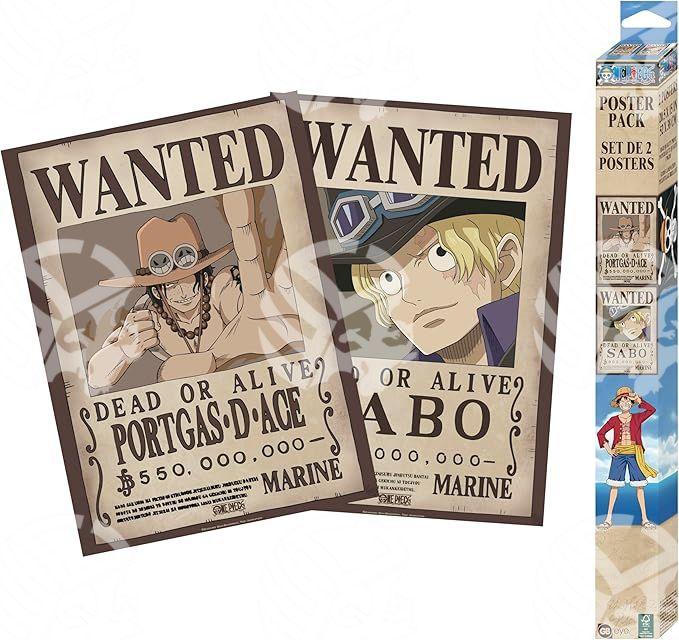 Poster One Piece Zoro e Sanji - Warcard