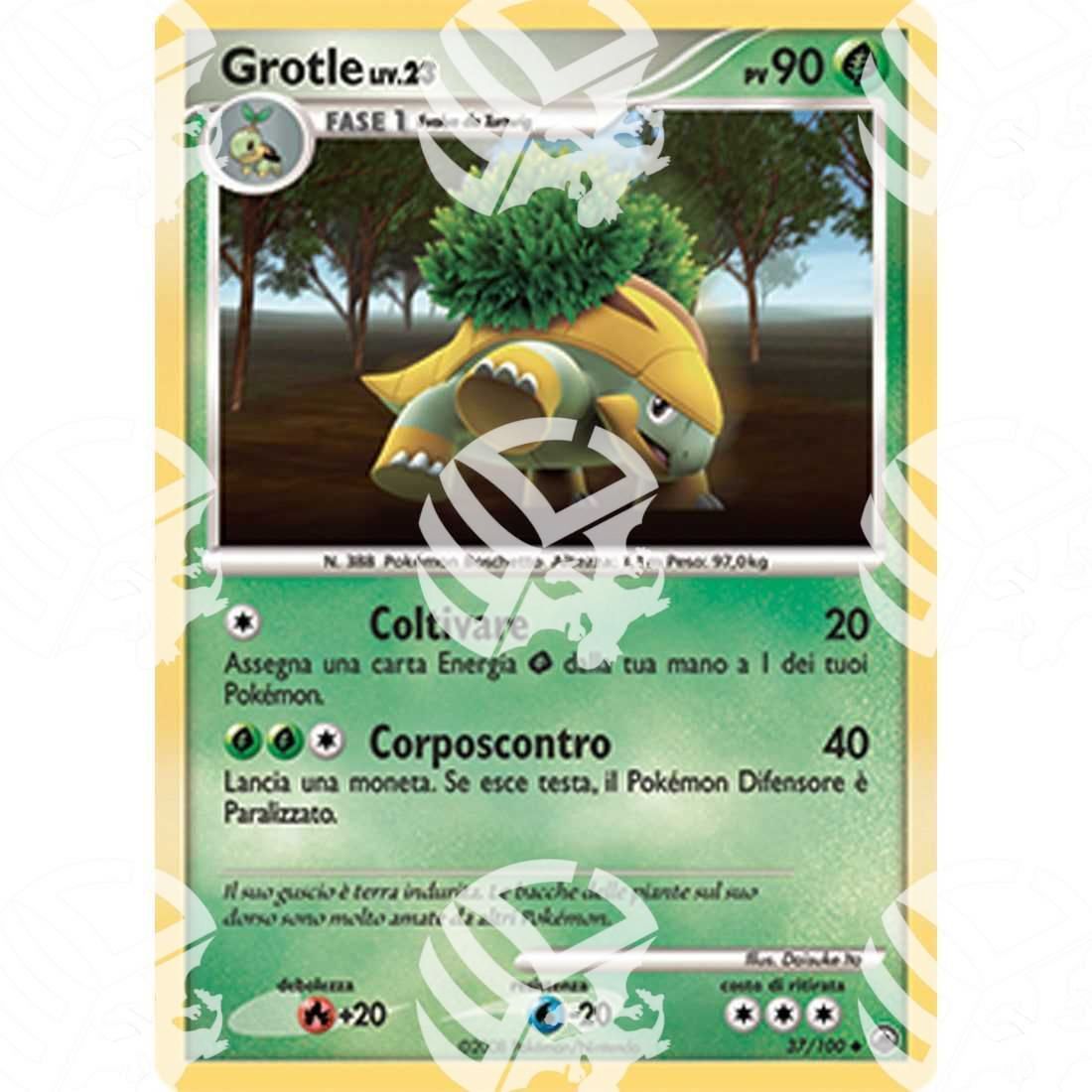 Alba Suprema - Grotle - 37/100 - Warcard - Alba Suprema - Grotle - 37/100 i prezzi più bassi sul mercato, solo da www.warcardshop.com! Carte singole, box, buste e mazzi.