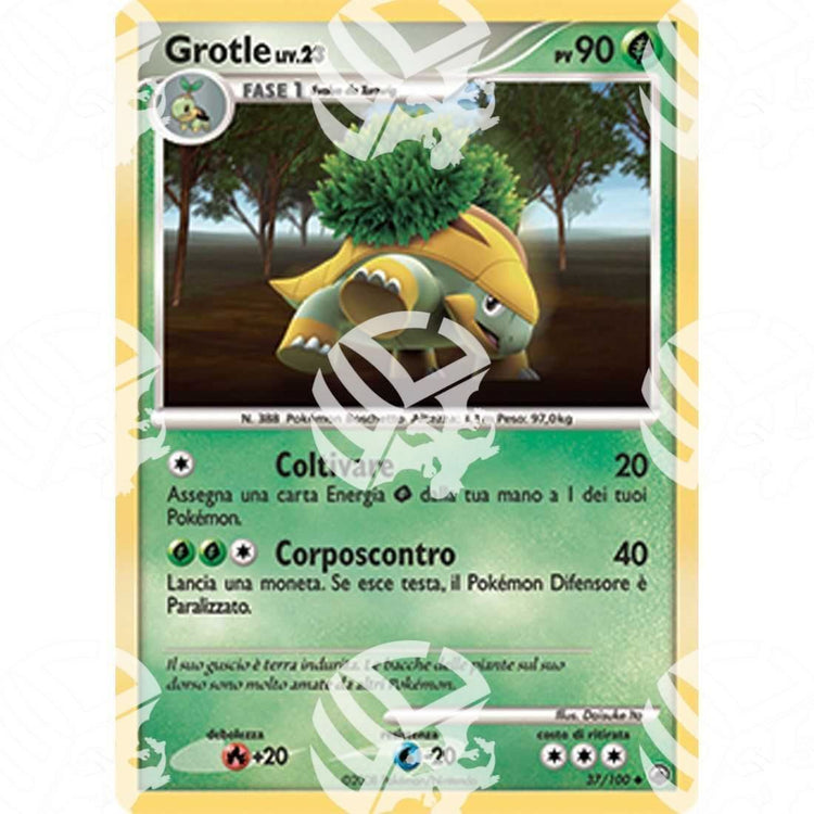 Alba Suprema - Grotle - 37/100 - Warcard - Alba Suprema - Grotle - 37/100 i prezzi più bassi sul mercato, solo da www.warcardshop.com! Carte singole, box, buste e mazzi.