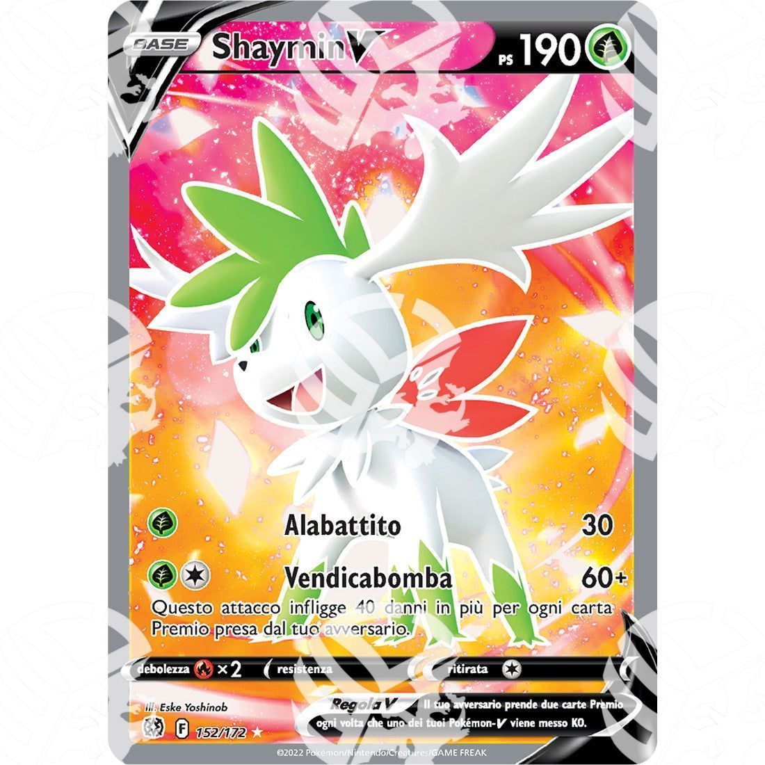 Astri Lucenti - Shaymin V - Ultra Rare 152/172 - Warcard -  -  - Astri Lucenti - Shaymin V - Ultra Rare 152/172 - Warcard - Astri Lucenti - Shaymin V - Ultra Rare 152/172 i prezzi più bassi sul mercato, solo da www.warcardshop.com! Carte singole, box, buste e mazzi.
