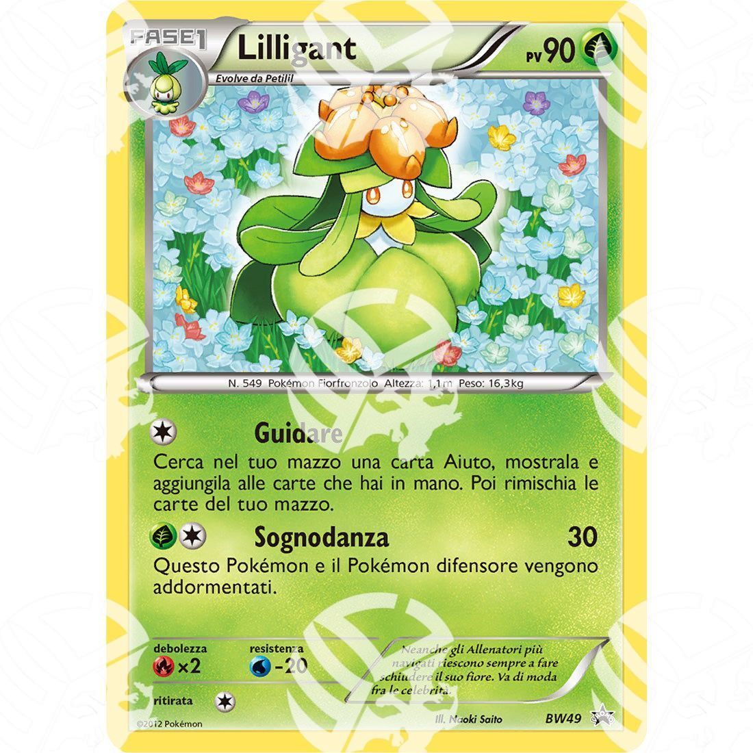 Black Star Promos - BW - Lilligant - Holo Promo BW49 - Warcard -  -  - Black Star Promos - BW - Lilligant - Holo Promo BW49 - Warcard - Black Star Promos - BW - Lilligant - Holo Promo BW49 i prezzi più bassi sul mercato, solo da www.warcardshop.com! Carte singole, box, buste e mazzi.