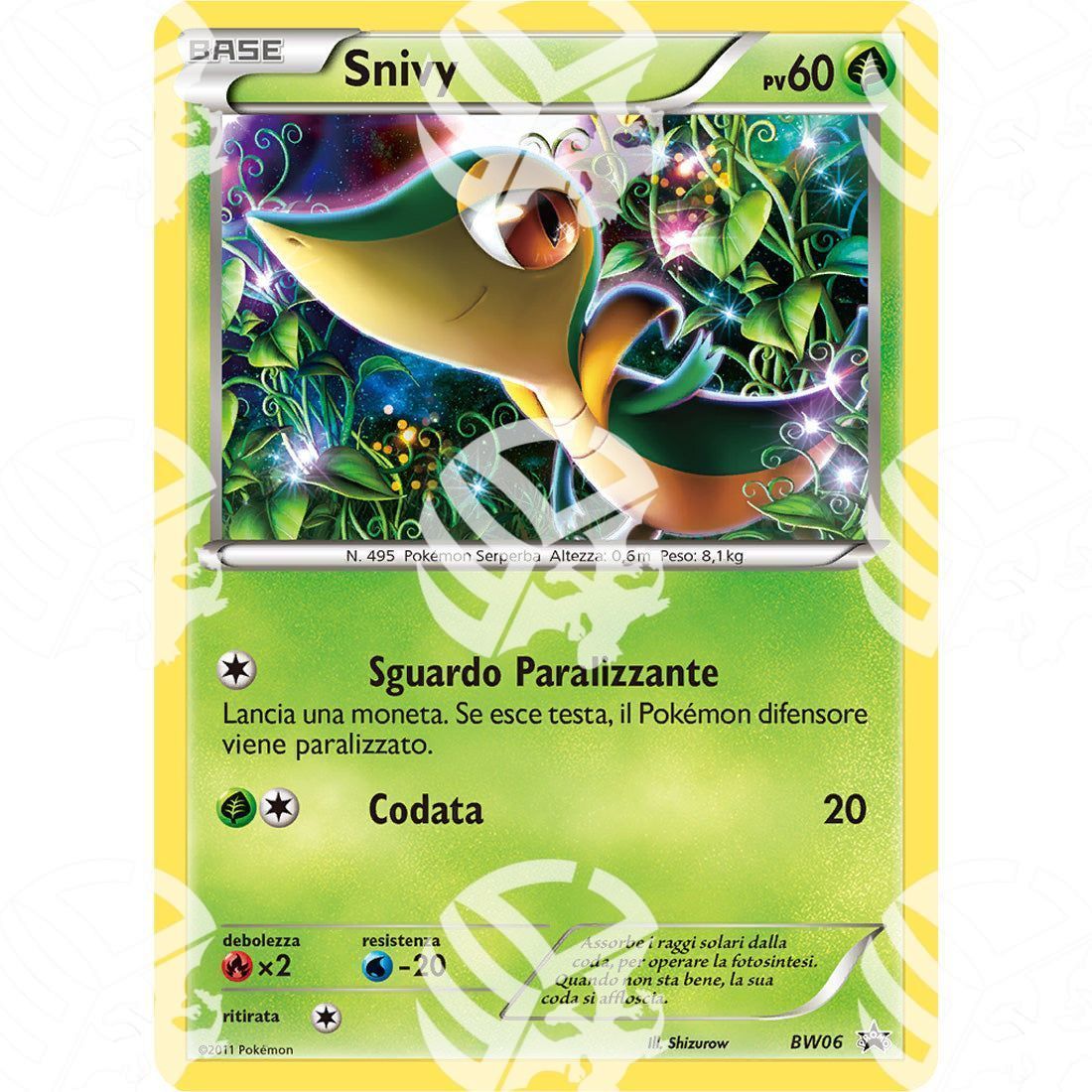 Black Star Promos - BW - Snivy - Holo Promo BW06 - Warcard -  -  - Black Star Promos - BW - Snivy - Holo Promo BW06 - Warcard - Black Star Promos - BW - Snivy - Holo Promo BW06 i prezzi più bassi sul mercato, solo da www.warcardshop.com! Carte singole, box, buste e mazzi.