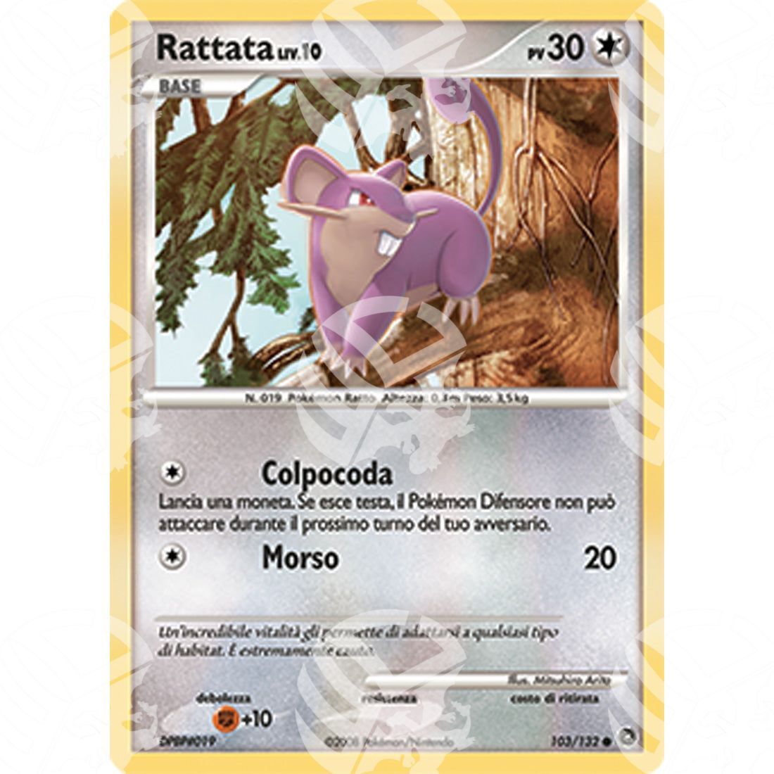 Prodigi Segreti - Rattata Lv.10 - 103/132 - Warcard - Prodigi Segreti - Rattata Lv.10 - 103/132 i prezzi più bassi sul mercato, solo da www.warcardshop.com! Carte singole, box, buste e mazzi.