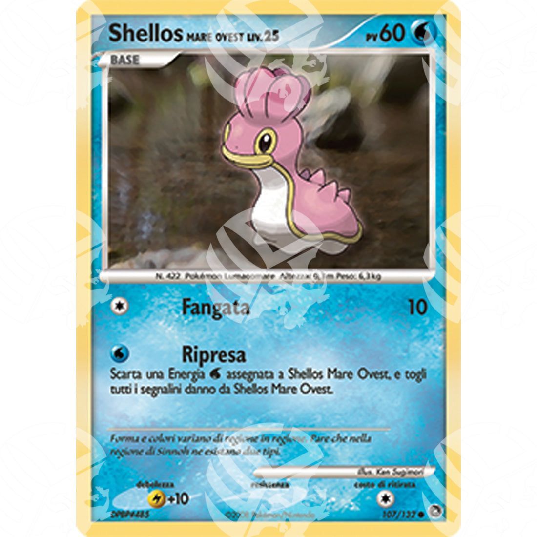 Prodigi Segreti - Shellos West Sea - 107/132 - Warcard - Prodigi Segreti - Shellos West Sea - 107/132 i prezzi più bassi sul mercato, solo da www.warcardshop.com! Carte singole, box, buste e mazzi.