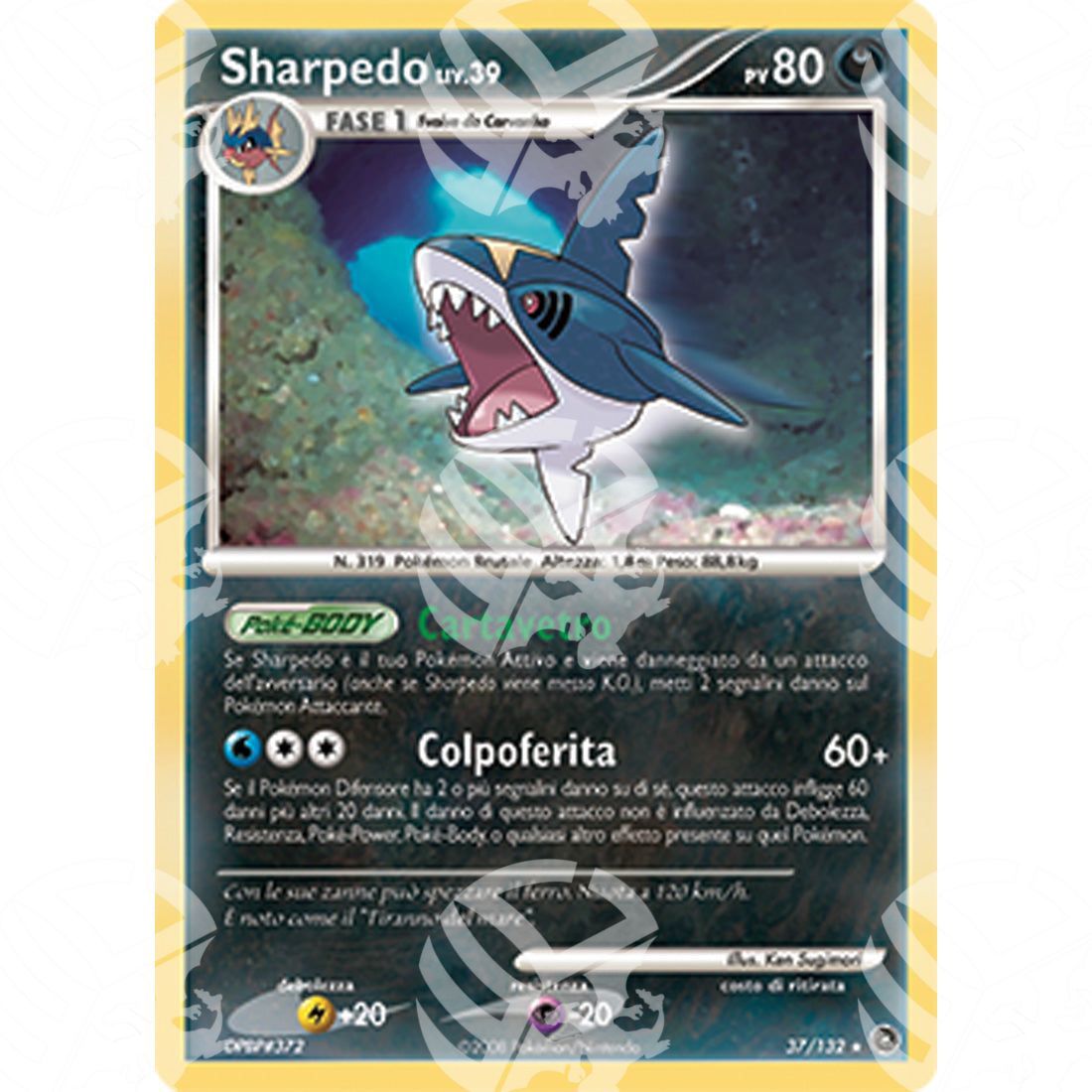 Prodigi Segreti - Sharpedo Lv.39 - 37/132 - Warcard - Prodigi Segreti - Sharpedo Lv.39 - 37/132 i prezzi più bassi sul mercato, solo da www.warcardshop.com! Carte singole, box, buste e mazzi.