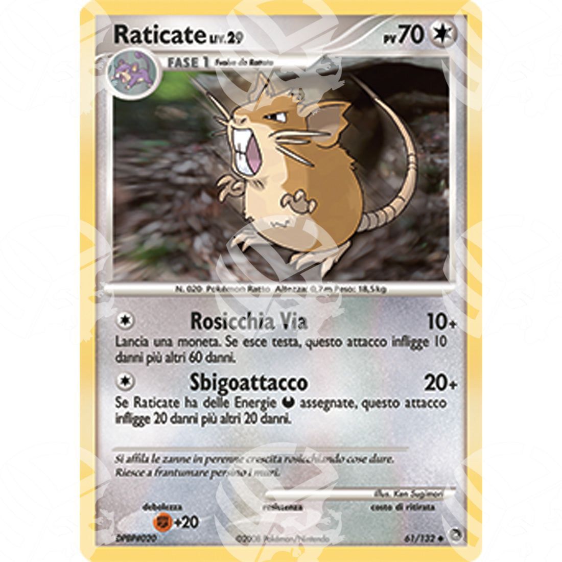 Prodigi Segreti - Raticate Lv.29 - 61/132 - Warcard - Prodigi Segreti - Raticate Lv.29 - 61/132 i prezzi più bassi sul mercato, solo da www.warcardshop.com! Carte singole, box, buste e mazzi.
