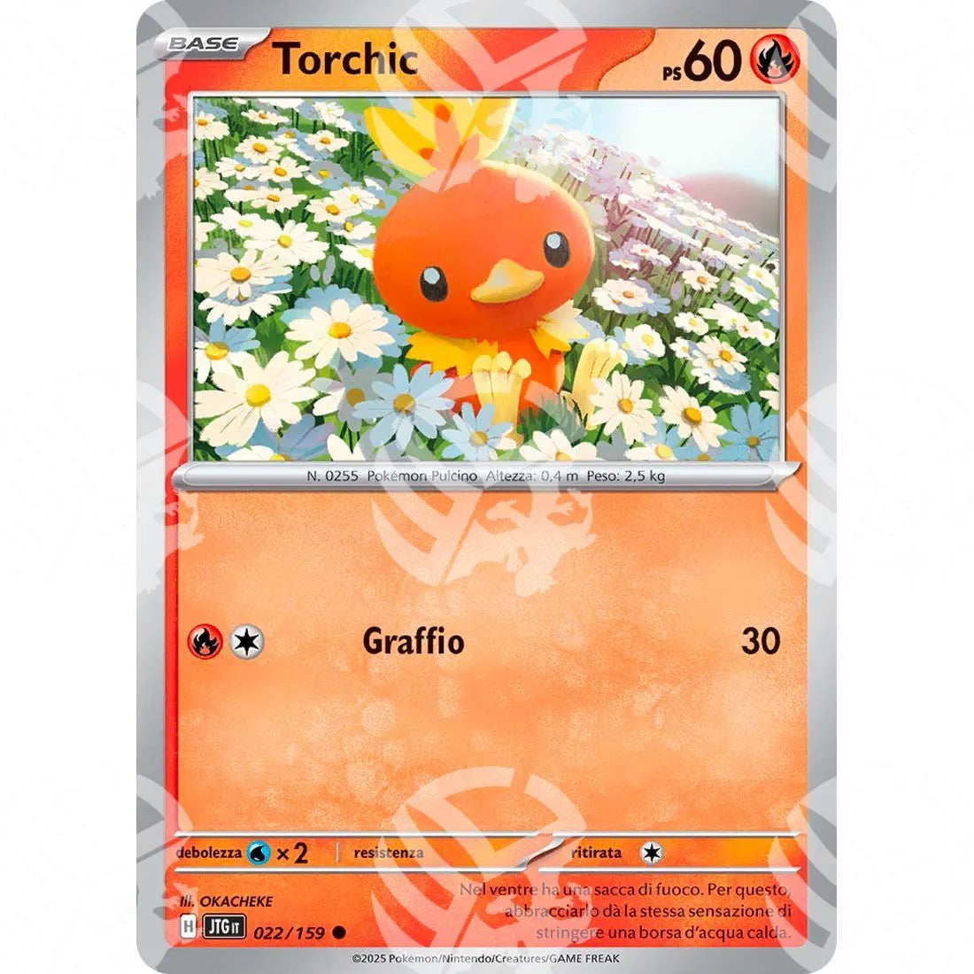Avventure Insieme - Torchic - 022/159