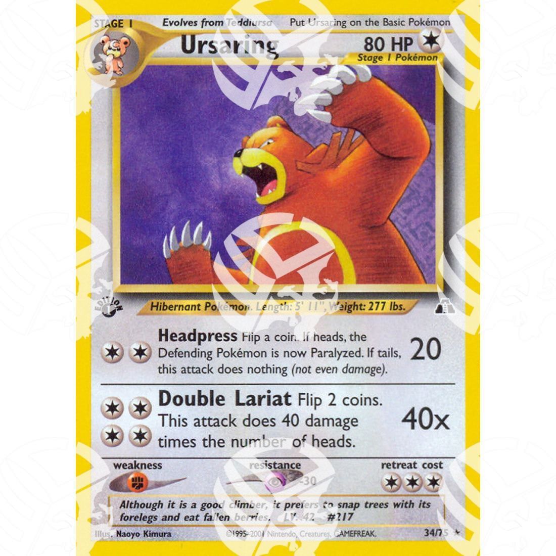 Neo Discovery - Ursaring - 34/75 - Warcard