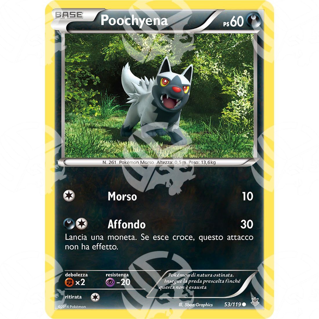 Forze Spettrali - Poochyena - 53/119 - Warcard - Forze Spettrali - Poochyena - 53/119 i prezzi più bassi sul mercato, solo da www.warcardshop.com! Carte singole, box, buste e mazzi.