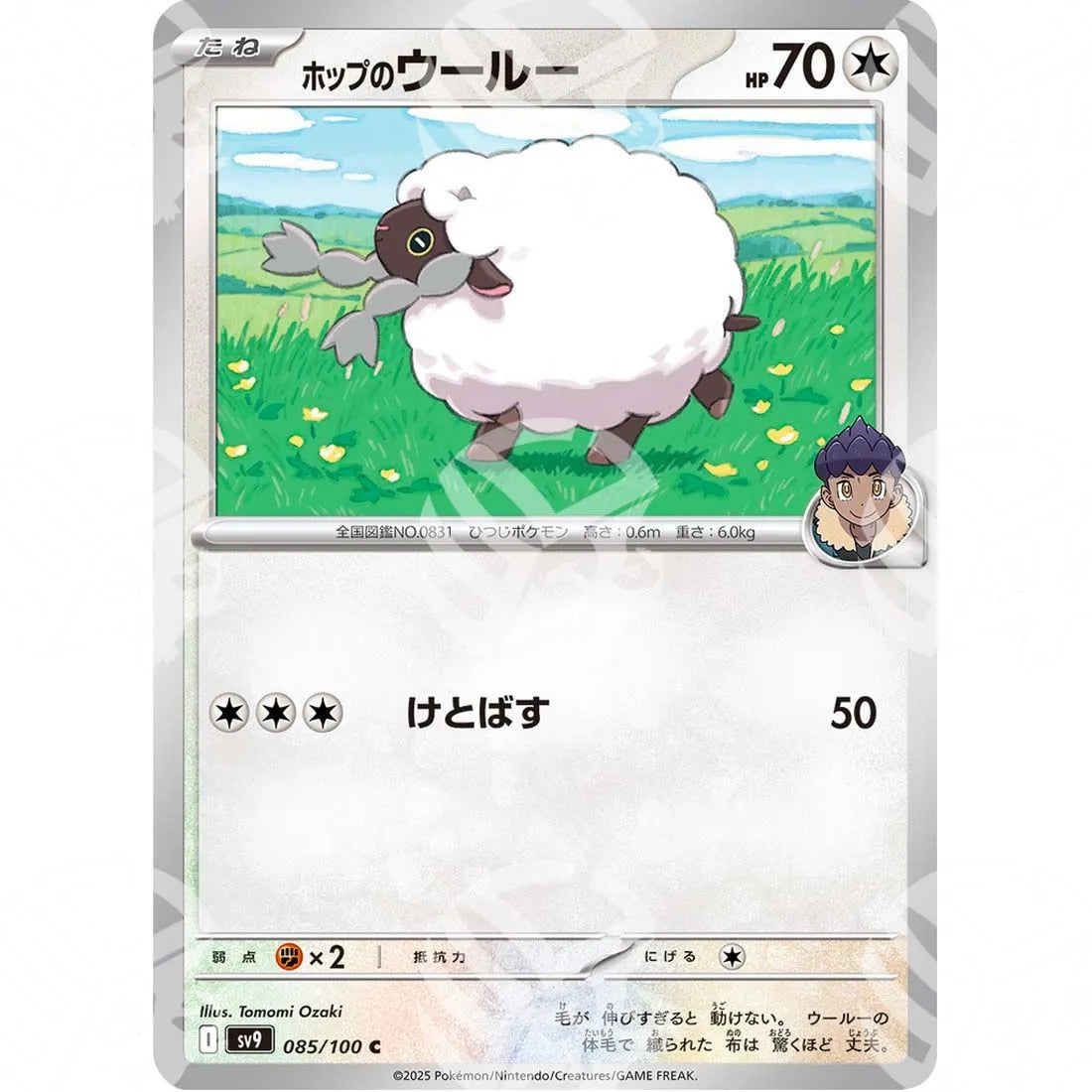 Battle Partners - SV9 - Hop's Wooloo - 085/100