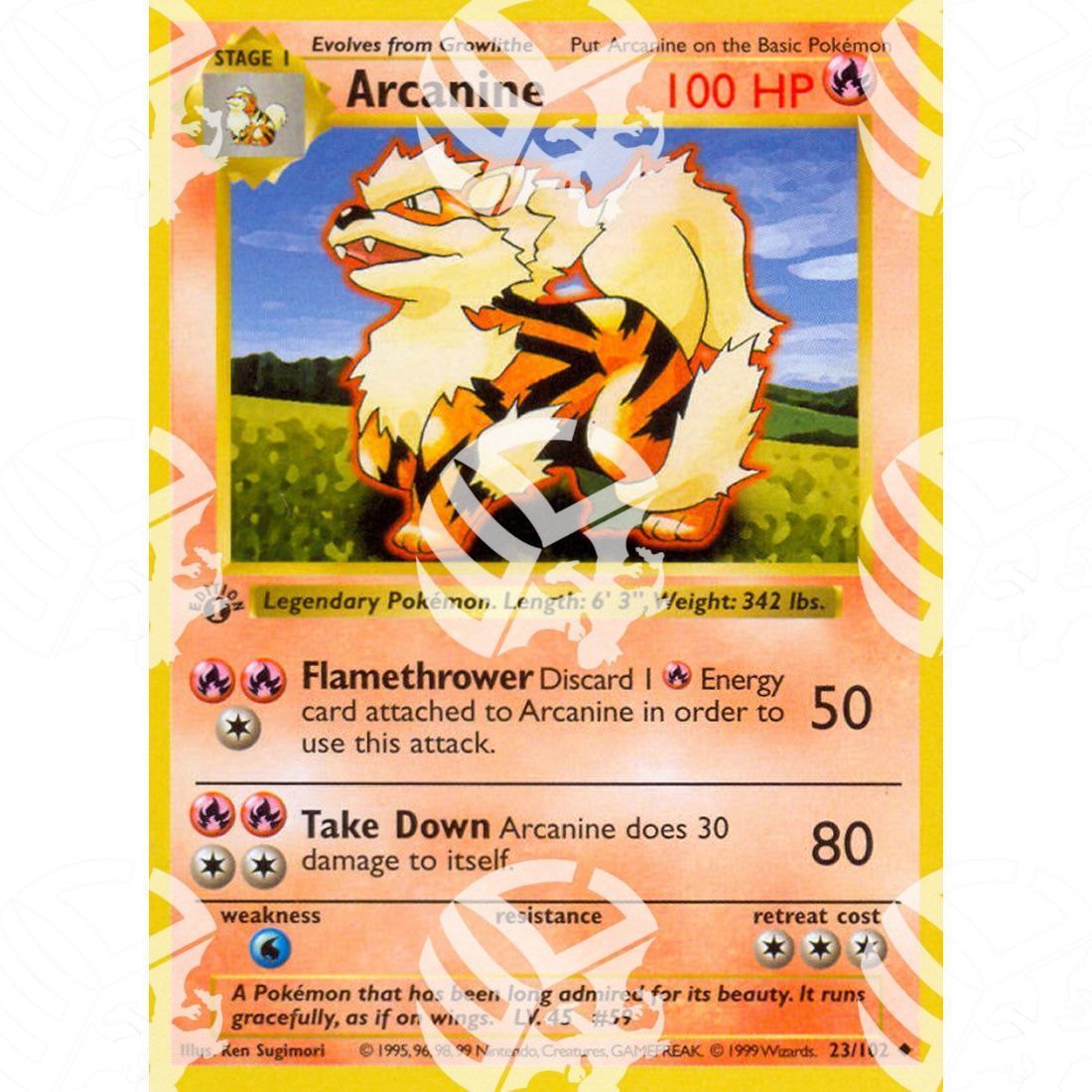 Set Base - Arcanine - 23/102 - Warcard