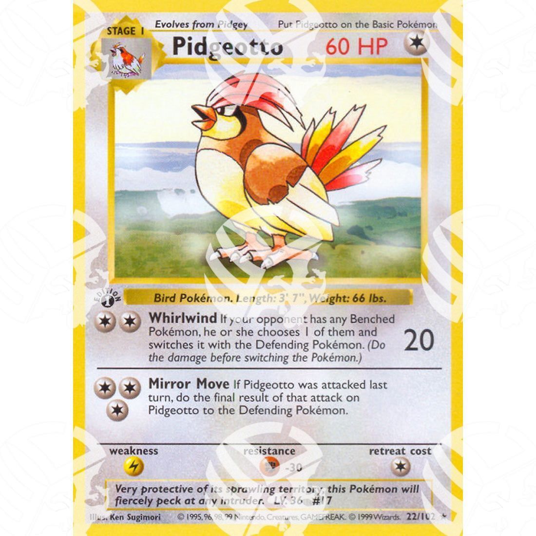 Set Base - Pidgeotto - 22/102 - Warcard