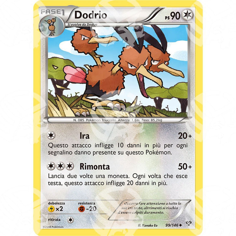 XY - Dodrio - 99/146 - Warcard - XY - Dodrio - 99/146 i prezzi più bassi sul mercato, solo da www.warcardshop.com! Carte singole, box, buste e mazzi.