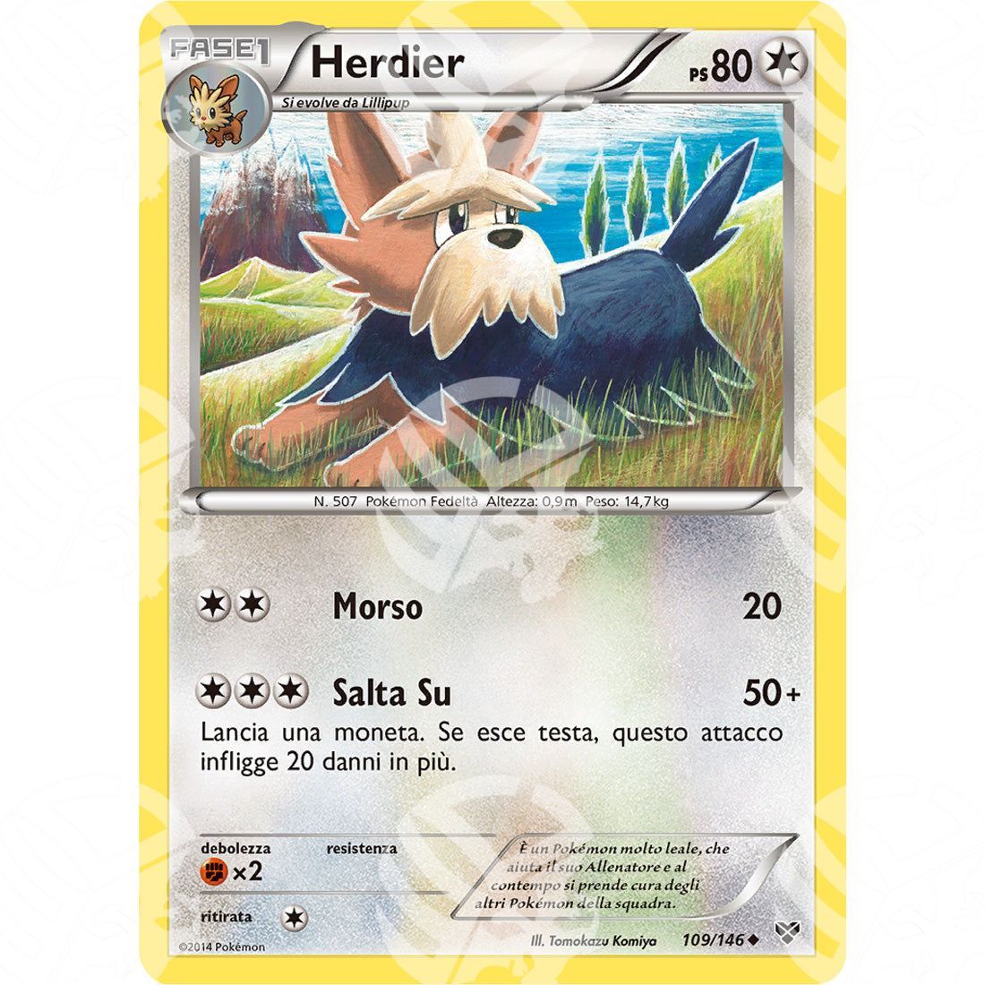 XY - Herdier - 109/146 - Warcard - XY - Herdier - 109/146 i prezzi più bassi sul mercato, solo da www.warcardshop.com! Carte singole, box, buste e mazzi.