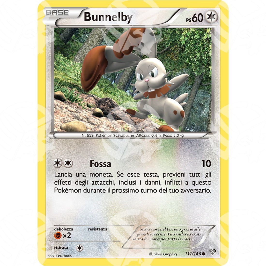 XY - Bunnelby - 111/146 - Warcard - XY - Bunnelby - 111/146 i prezzi più bassi sul mercato, solo da www.warcardshop.com! Carte singole, box, buste e mazzi.