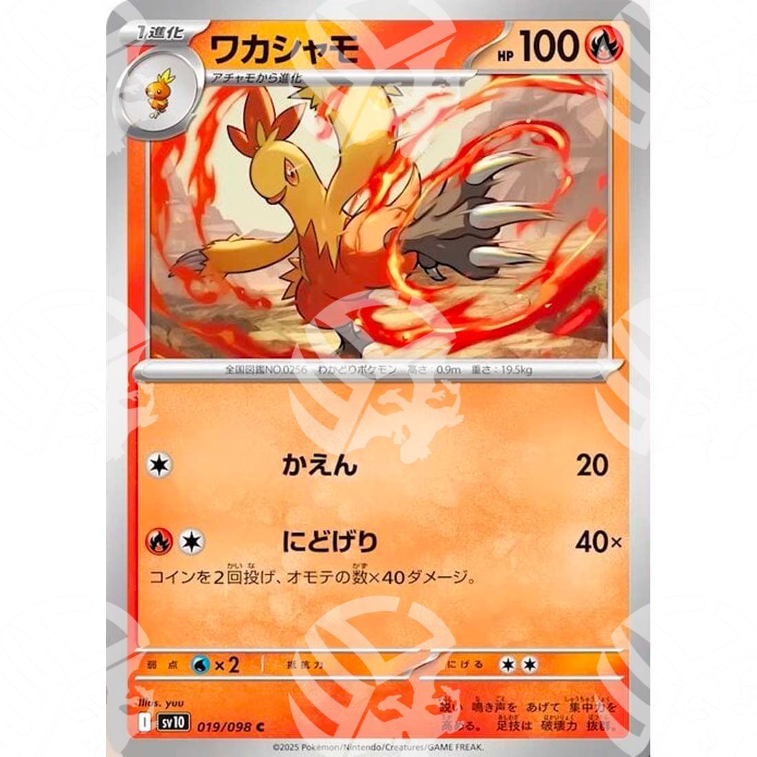 The Glory of Team Rocket - SV10 - Combusken - 019/098